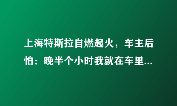 上海特斯拉自燃起火，车主后怕：晚半个小时我就在车里了, 你怎么看？