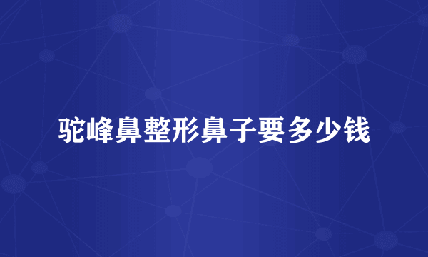 驼峰鼻整形鼻子要多少钱