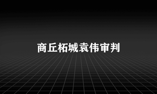 商丘柘城袁伟审判