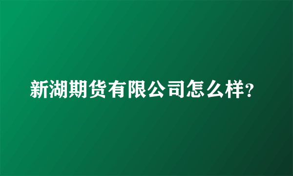 新湖期货有限公司怎么样？