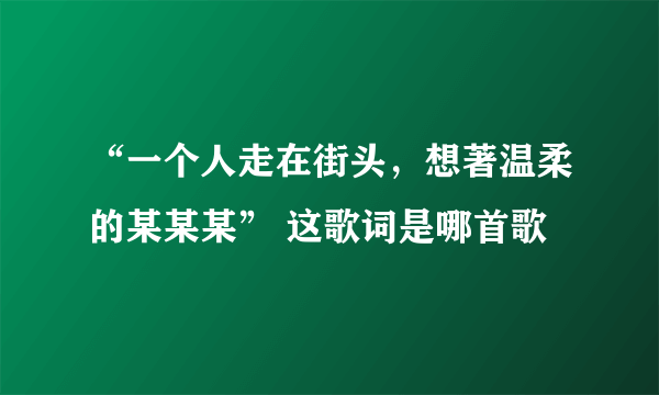 “一个人走在街头，想著温柔的某某某” 这歌词是哪首歌