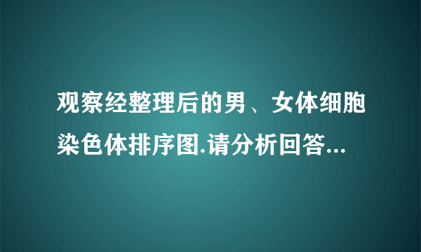 观察经整理后的男、女体细胞染色体排序图.请分析回答:(1)从图可看出,人的体细胞中,染色体是   存在的.染色体由蛋白质和  两种物质组成(2)根据染色体组成可以判断,乙为      (填“男”或“女”)性的染色体组成.乙产生的生殖细胞中含有      条染色体.(3)甲、乙的眼睑性状均表现为双眼皮,却生了一个单眼皮的孩子.若他们再生一个孩子,表现为单眼皮的可能性是      .