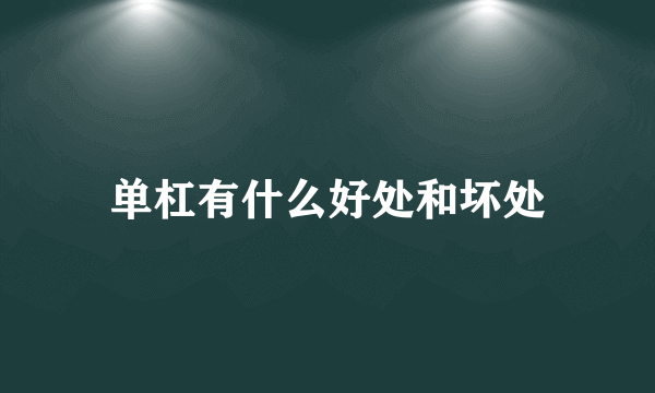 单杠有什么好处和坏处