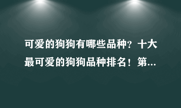 可爱的狗狗有哪些品种？十大最可爱的狗狗品种排名！第一是谁？
