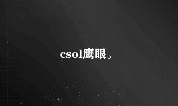 csol鹰眼。