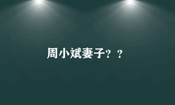 周小斌妻子？？