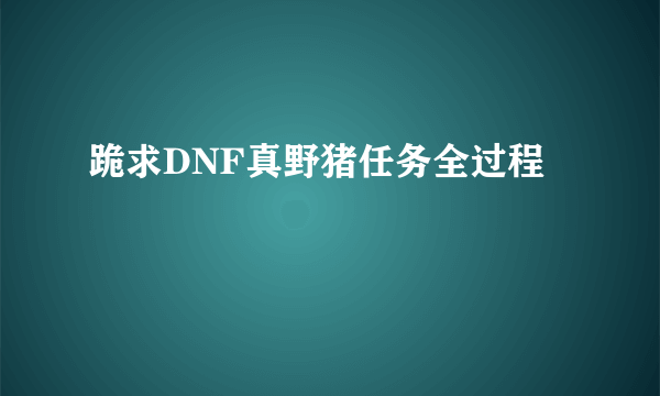 跪求DNF真野猪任务全过程