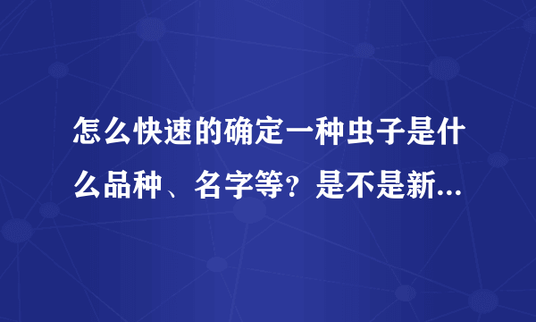 怎么快速的确定一种虫子是什么品种、名字等？是不是新的物种？