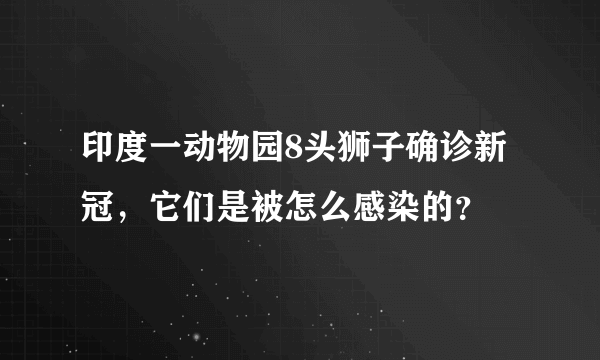 印度一动物园8头狮子确诊新冠，它们是被怎么感染的？