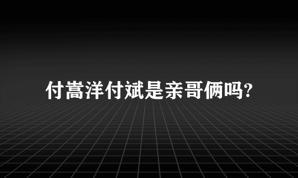 付嵩洋付斌是亲哥俩吗?