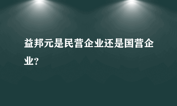 益邦元是民营企业还是国营企业？