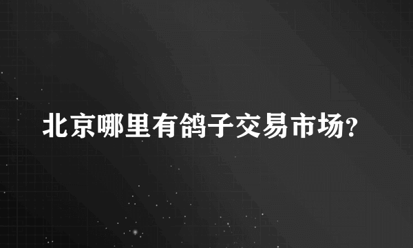 北京哪里有鸽子交易市场？