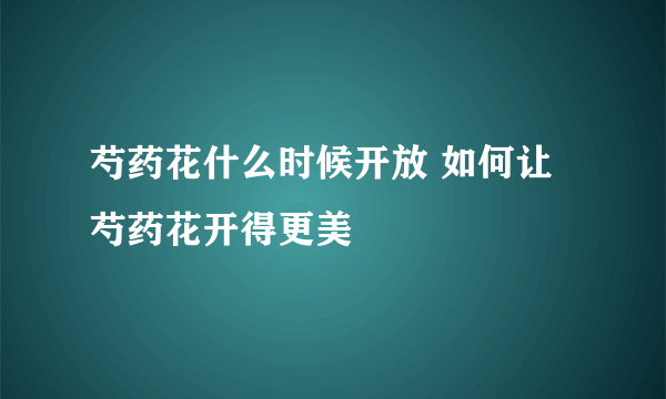 芍药花什么时候开放 如何让芍药花开得更美