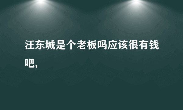 汪东城是个老板吗应该很有钱吧,