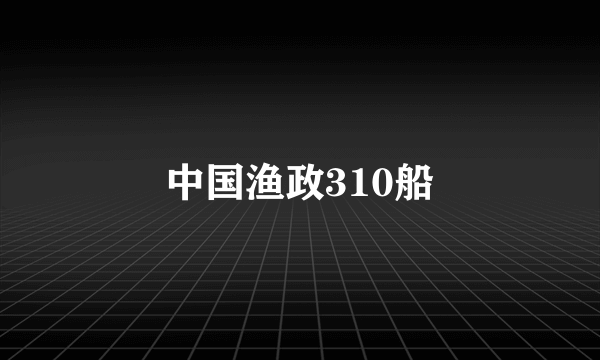 中国渔政310船