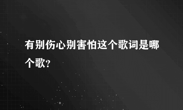 有别伤心别害怕这个歌词是哪个歌？