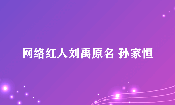 网络红人刘禹原名 孙家恒