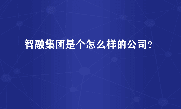 智融集团是个怎么样的公司？