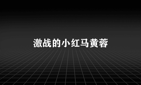 激战的小红马黄蓉