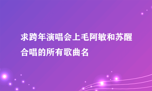 求跨年演唱会上毛阿敏和苏醒合唱的所有歌曲名