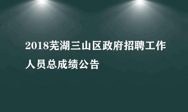 2018芜湖三山区政府招聘工作人员总成绩公告