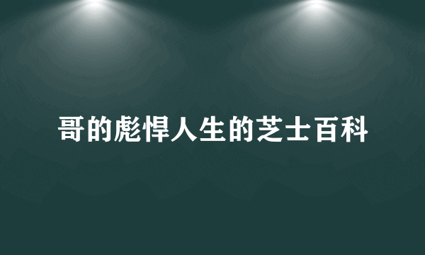 哥的彪悍人生的芝士百科