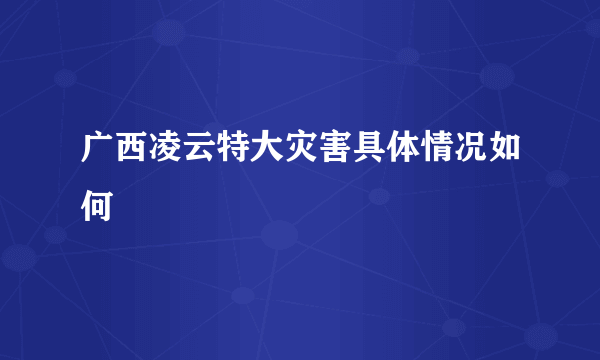 广西凌云特大灾害具体情况如何