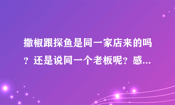 撒椒跟探鱼是同一家店来的吗？还是说同一个老板呢？感觉好像老听到这两个名字混在一起。
