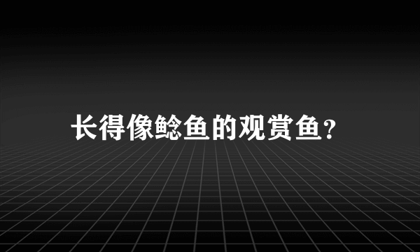 长得像鲶鱼的观赏鱼？