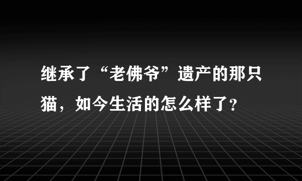 继承了“老佛爷”遗产的那只猫，如今生活的怎么样了？