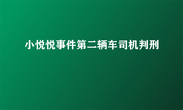 小悦悦事件第二辆车司机判刑