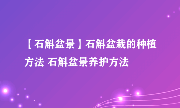 【石斛盆景】石斛盆栽的种植方法 石斛盆景养护方法