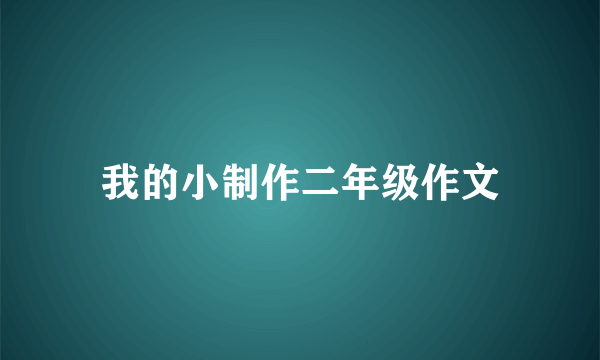 我的小制作二年级作文