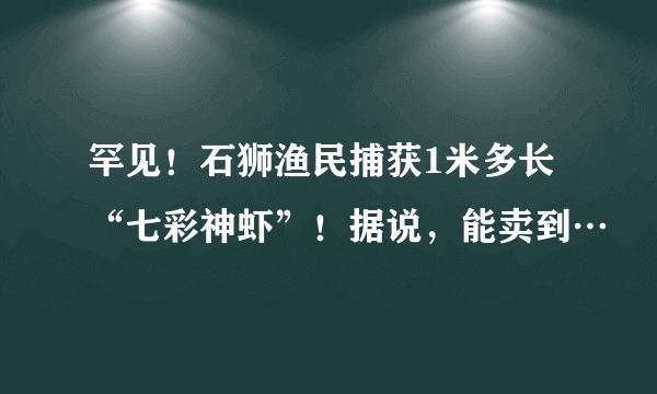 罕见！石狮渔民捕获1米多长“七彩神虾”！据说，能卖到…