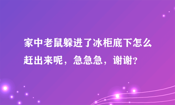 家中老鼠躲进了冰柜底下怎么赶出来呢，急急急，谢谢？