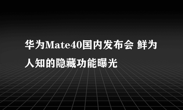 华为Mate40国内发布会 鲜为人知的隐藏功能曝光