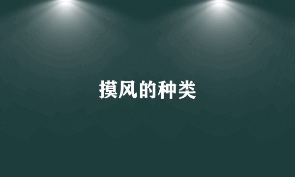 摸风的种类