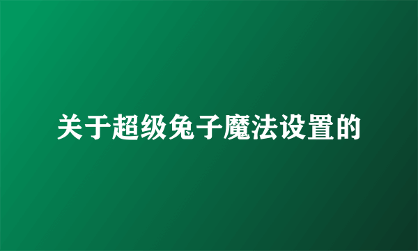 关于超级兔子魔法设置的