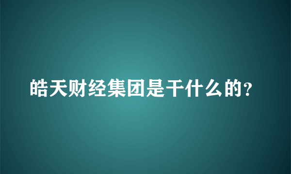 皓天财经集团是干什么的？