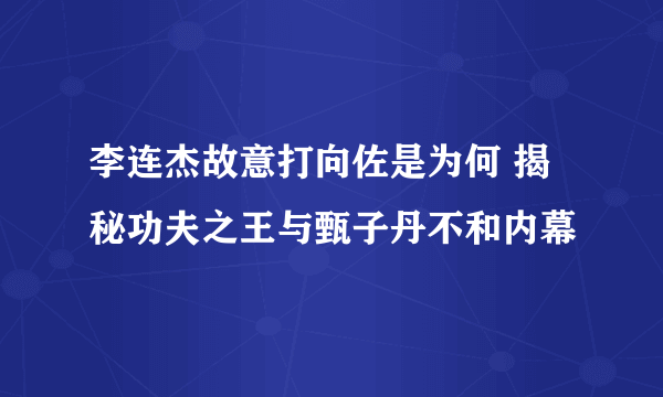 李连杰故意打向佐是为何 揭秘功夫之王与甄子丹不和内幕