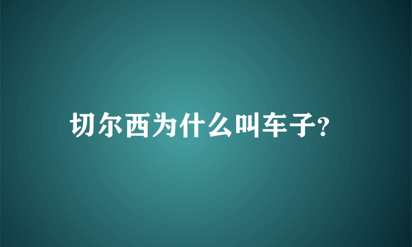 切尔西为什么叫车子？