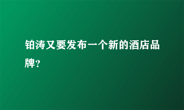 铂涛又要发布一个新的酒店品牌？