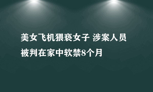 美女飞机猥亵女子 涉案人员被判在家中软禁8个月
