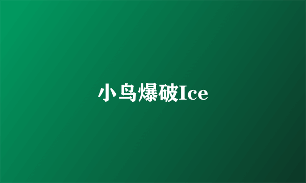 小鸟爆破Ice