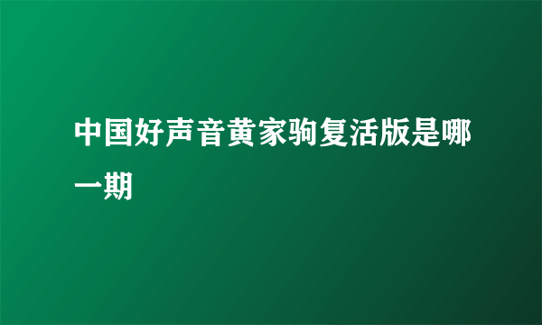 中国好声音黄家驹复活版是哪一期