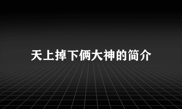 天上掉下俩大神的简介