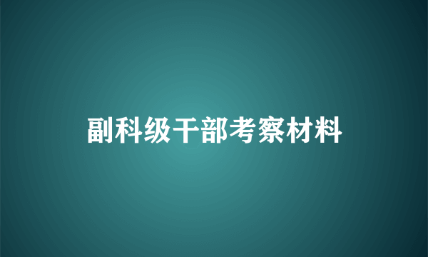 副科级干部考察材料