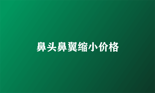 鼻头鼻翼缩小价格