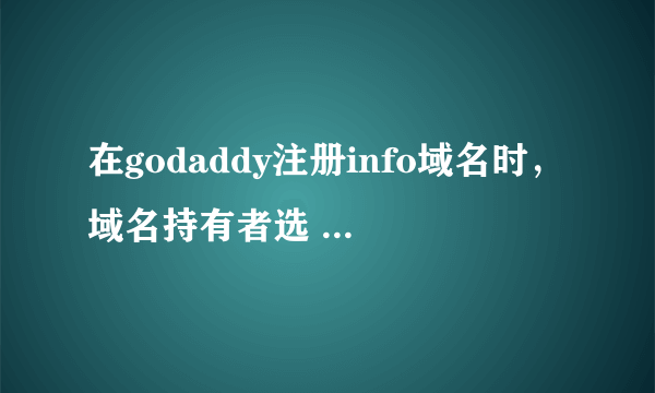 在godaddy注册info域名时，域名持有者选 公司好 还是