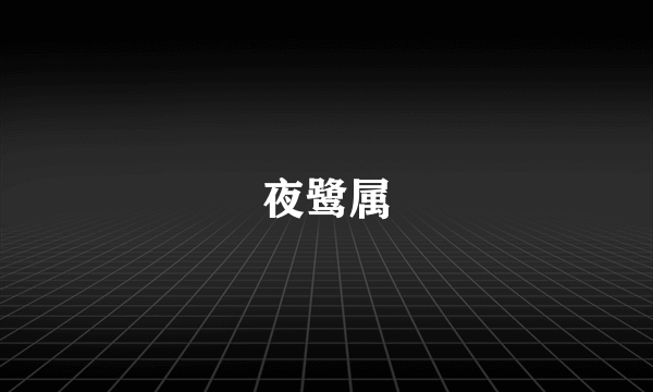 夜鹭属